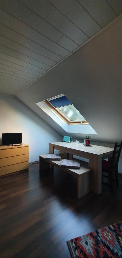 Tulpenoase Apartment Neuendettelsau Екстериор снимка